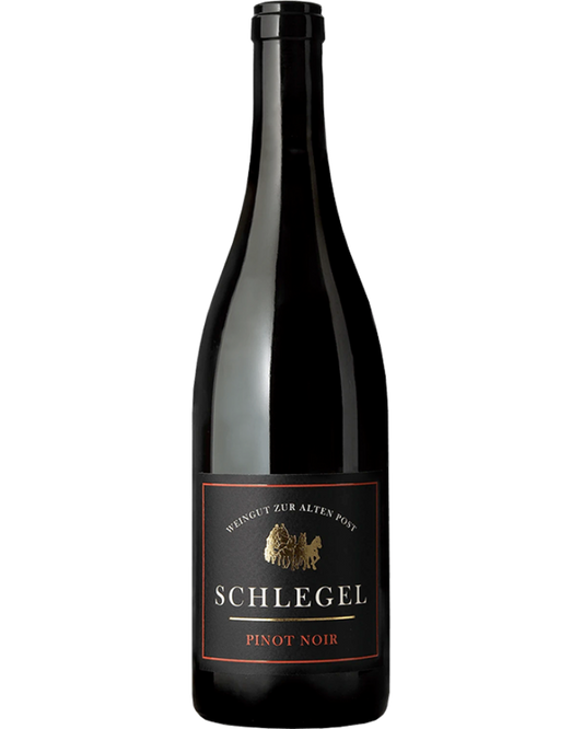 Jeninser Pinot Noir 2023 - GrapeFactory GmbH